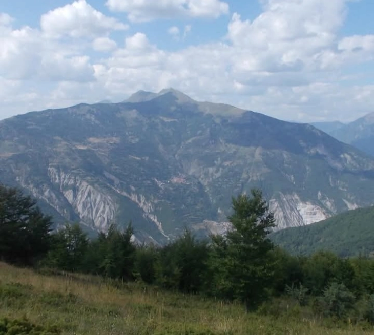 Подружницата „Стогово“ на ЈП „Национални шуми“ годинава планира да пошуми 8 хектари на три локации во Дебарско