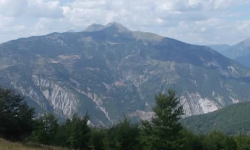 Подружницата „Стогово“ на ЈП „Национални шуми“ годинава планира да пошуми 8 хектари на три локации во Дебарско