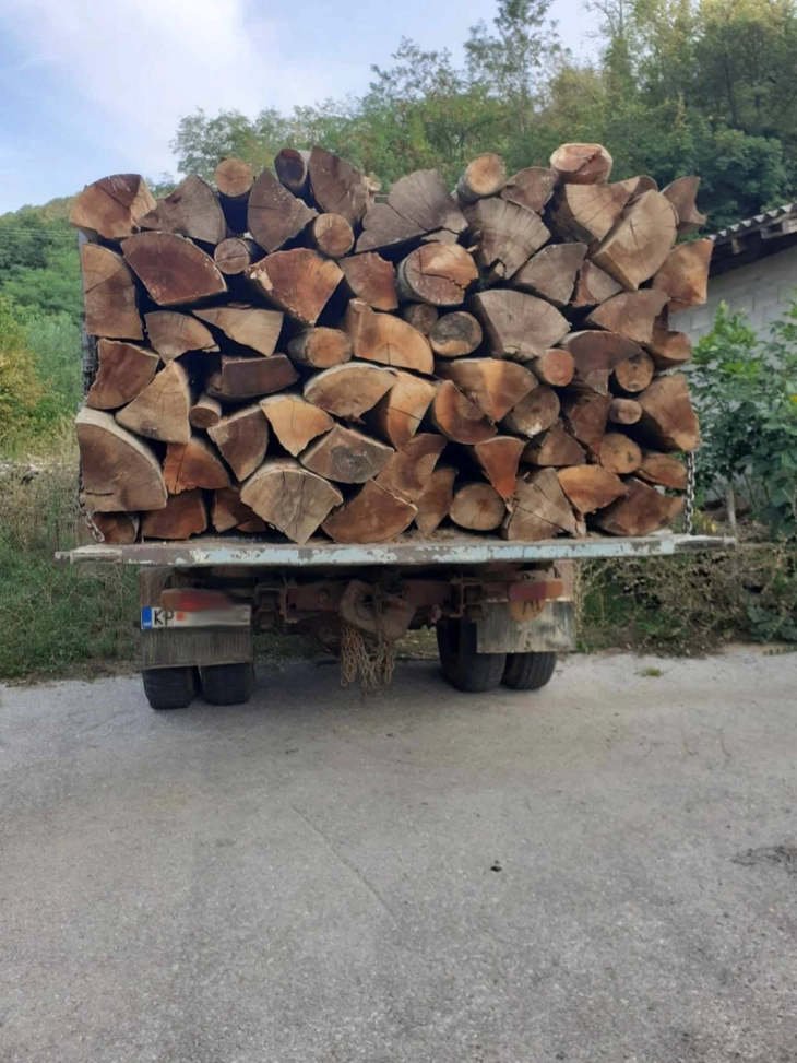 Пронајдено огревно дрво без документација во Кавадаречко, приведено едно лице