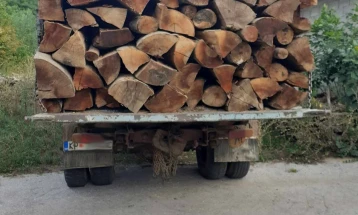 Пронајдено огревно дрво без документација во Кавадаречко, приведено едно лице