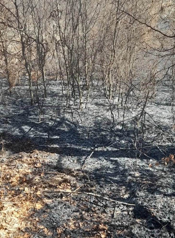 Локализирани два пожари во атарот на каменичките села Саса и Цера