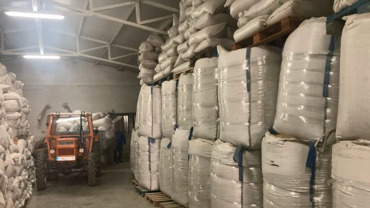 Нема откуп на оризова арпа во Кочанско поради отежнатиот пласман во странство