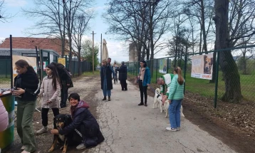 Во Битола, одбележан светскиот ден на бездомните животни