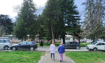 Punojmë në rritjen e kapitacionit për mjekët amë, paralajmëroi Mickoski