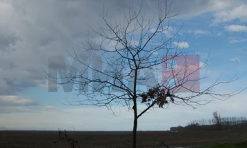 Erë e përforcuar veriore, në disa vende me kushte për borë të lehtë