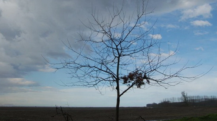 Weather: Overcast and cold