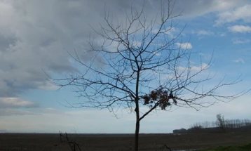 Weather: Overcast and cold