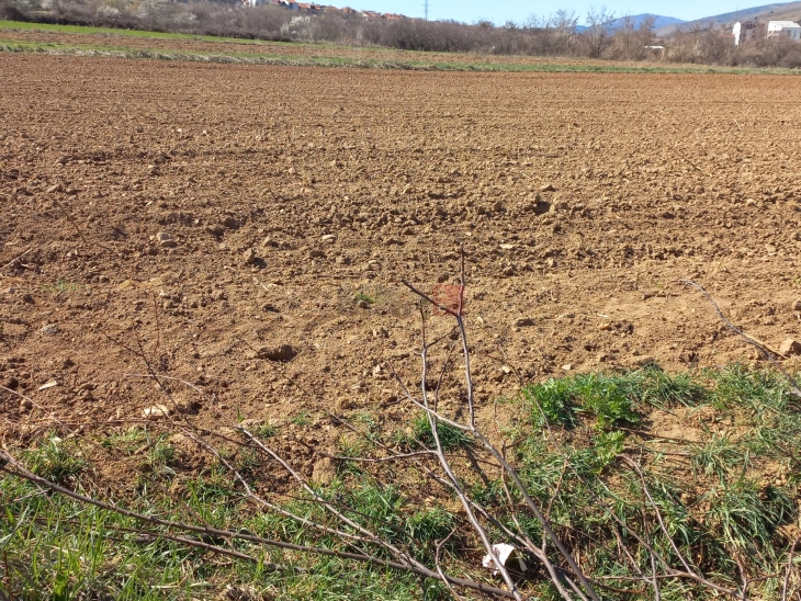 Заврши сеидбата на пролетен јачмен во Пелагонија