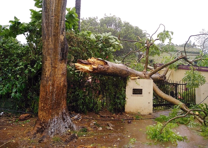 Најмалку 58 лица загинаа во невремето во индиската сојузна држава Бихар