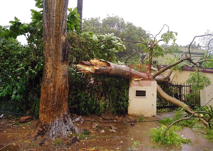 Të paktën 58 persona humbën jetën në stuhinë në shtetin federal indian Bihar