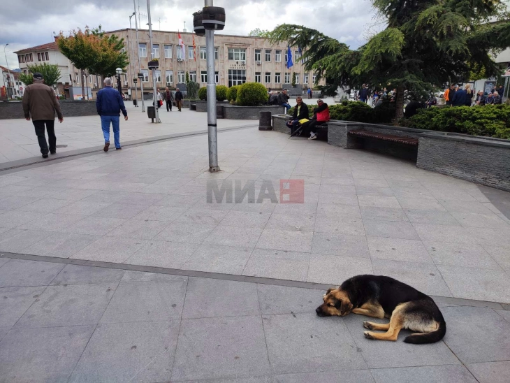 Жртвите каснати од куче доживуваат траума, преку едукација до намалување на ризикот од напади