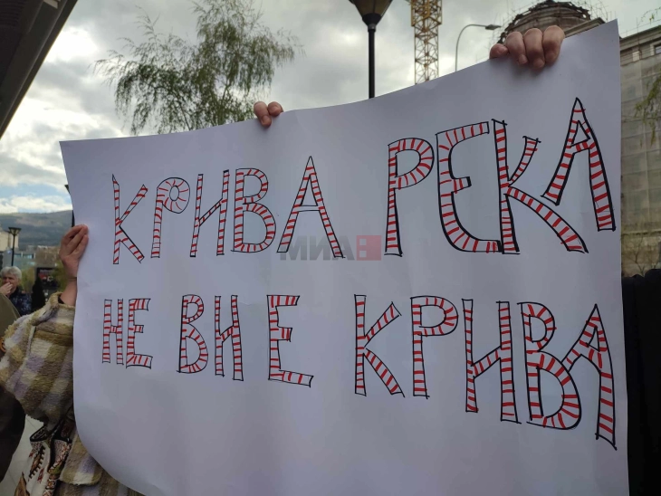 Еко-активистите побараа одговорност на протест за загадувањето на Крива Река
