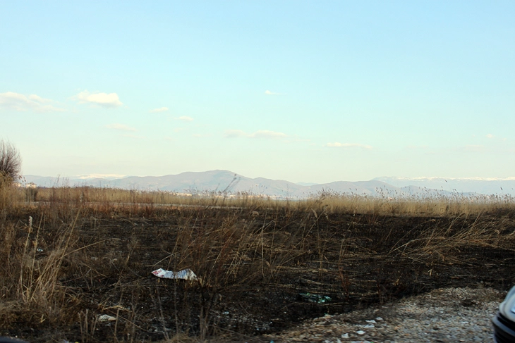 Опожарена трска на охридското крајбрежје