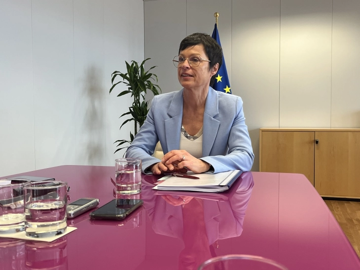 No one can guarantee there will be no more objections on North Macedonia's EU path after constitutional change, Kos tells ENR/MIA