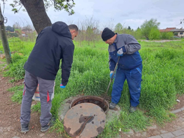 Редовна пролетна дератизација во Општина Аеродром