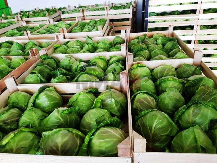 Намирници корисни за бактериите во цревата