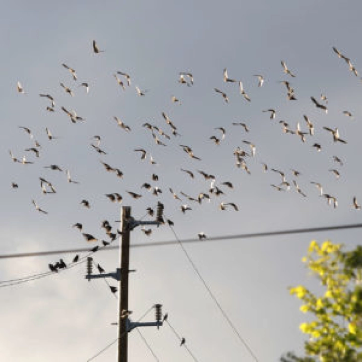 Weather: Cloudy with sunny spells, local downpours; high 26°C