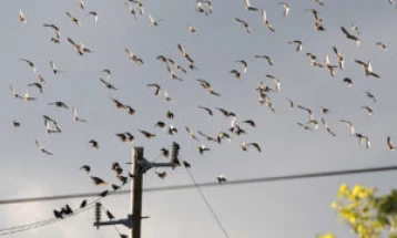 Weather: Cloudy with sunny spells, local downpours; high 26°C