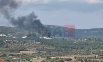 QMK: Zjarri në deponinë e qytetit në Demir Hisar është ende aktiv, por nën kontroll