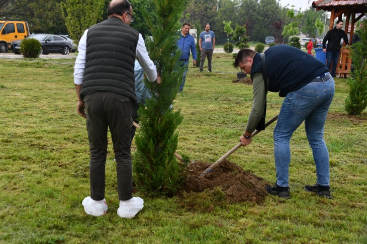 Нови 80 дрвца засадени во два парка во 11 Октомври - Бараки