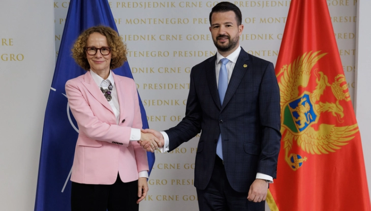 Милатовиќ – Шекеринска: Црна Гора е кредибилна членка на НАТО