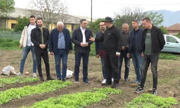 Tripunovski: Prodhuesit e duhanit morën 40 milionë euro subvencione, paguhen edhe për degë të tjera bujqësore