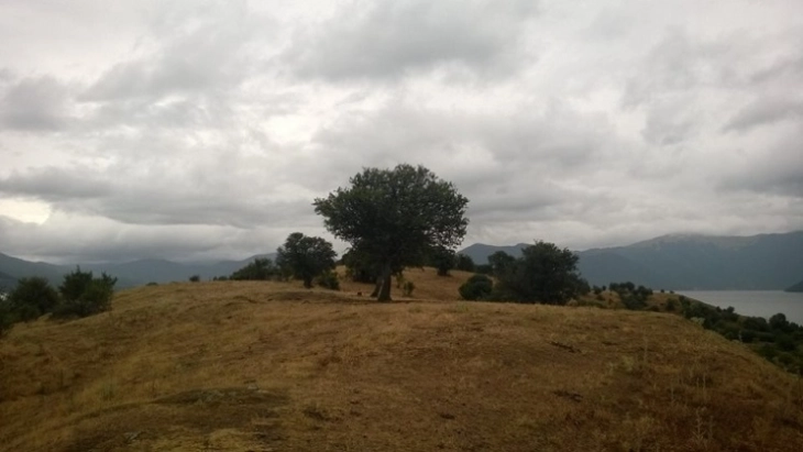 Облачно и нестабилно со повремени локални врнежи од дожд, наместа ќе има појава на невреме