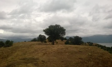 Weather: Overcast with occasional rainfalls