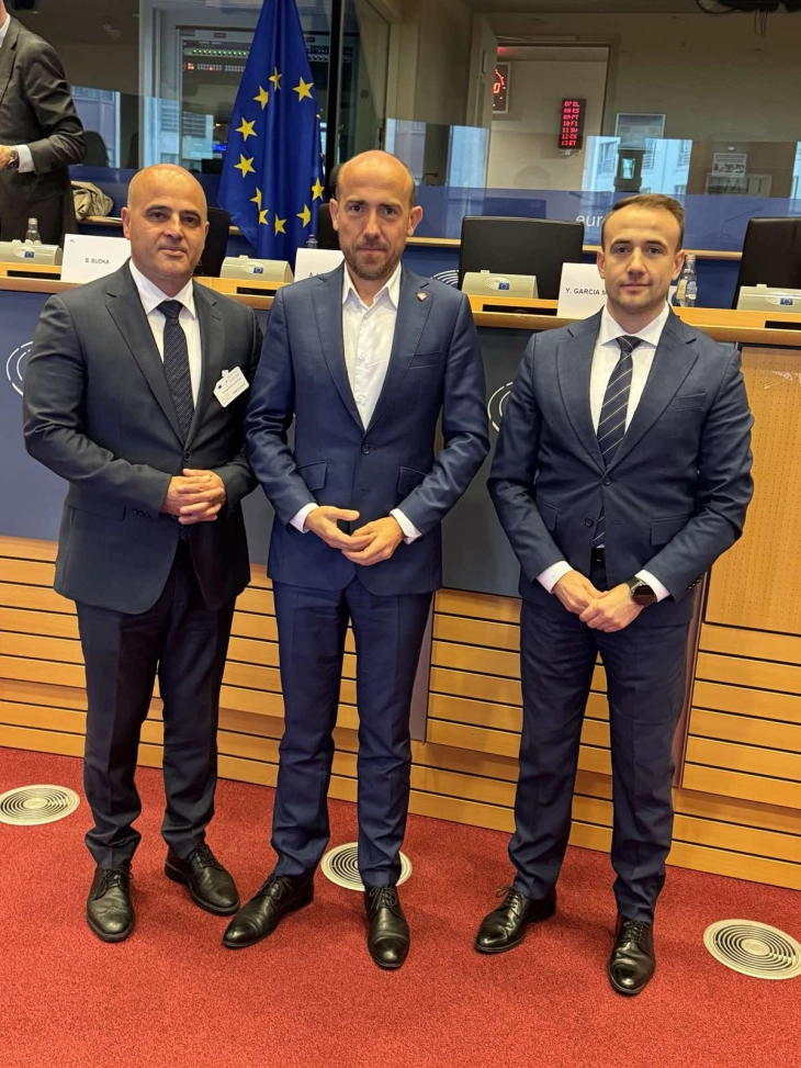 Собраниска делегација на состанок на Парламентарниот пленум на Енергетската заедница во Брисел