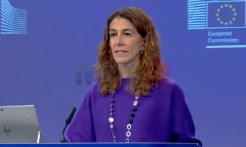 Pinjo: Nuk ka konflikt interesi në pjesëmarrjen e anëtarëve të Komisionit Evropian në ngjarjet partiake