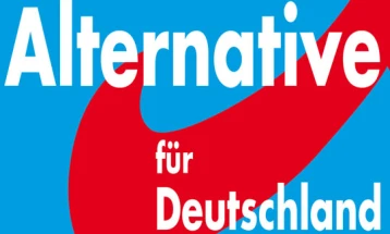 German intelligence confirms AfD as 'right-wing extremist' party