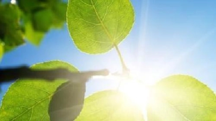 Сончево и многу топло