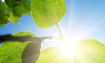 Weather: Sunny and very warm; high 30°C