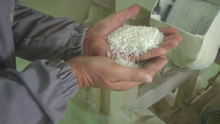 Мицкоски: Имаме историски цени и историска наплата во земјоделството зашто Владата се бори за производителите и не е ортак со откупувачите