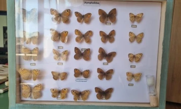 Струшкиот музеј работи на збогатување на збирката со инсекти и пеперутки од охридско - струшкиот регион