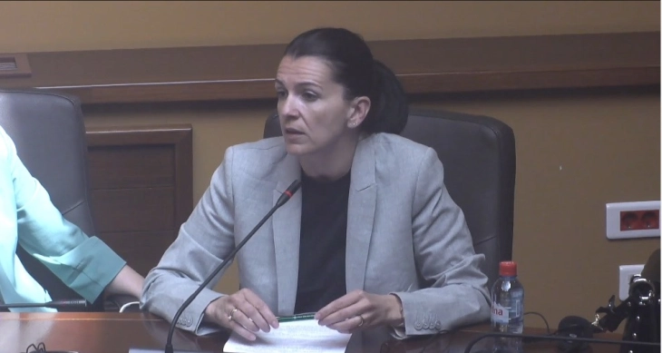 Костадиновска-Стојчевска: Со измените власта го уназади Законот за македонски јазик, Инспекторатот од независен го претвори во одделение на Министерството за култура