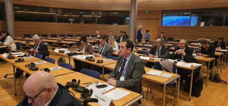 Ќоку учествува на седница на Комисијата за социјални прашања, здравство и одржлив развој во Парламентот на Финска