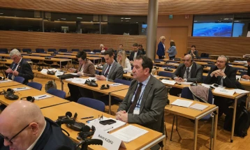 Ќоку учествува на седница на Комисијата за социјални прашања, здравство и одржлив развој во Парламентот на Финска