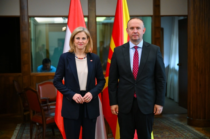 Meinl-Reisinger to Gashi: Austria ready to help in talks between North Macedonia and Bulgaria