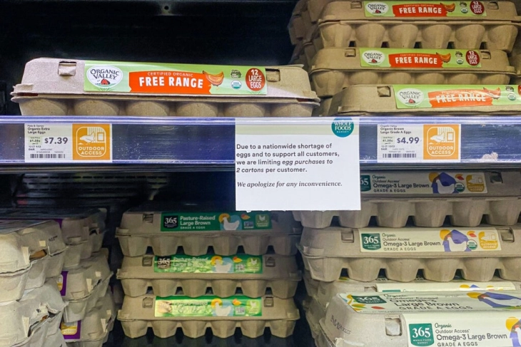 Jetesa amerikane: Pagat prej 55.000 dollarë, buka dy dollarë, qumështi një dollar...