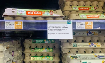 Jetesa amerikane: Pagat prej 55.000 dollarë, buka dy dollarë, qumështi një dollar...