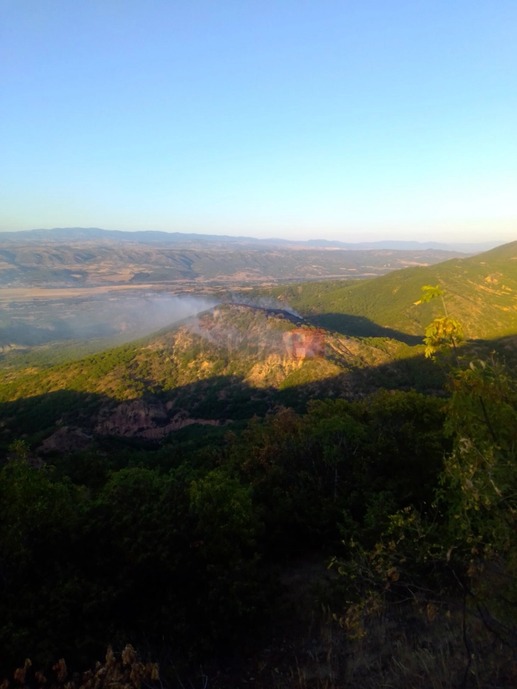 Михаилов: Се прават заштитни обрачи низ шумите, за нивна заштита од пожари