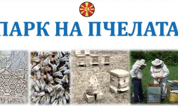 Утре се отвора првиот Парк на пчелата - училница за студентите, простор за едукација и информирање на граѓаните