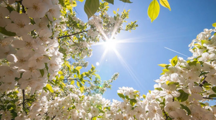 Weather: Sunny and warm; high 28°C