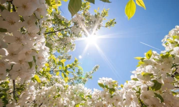 Weather: Sunny and warm; high 28°C