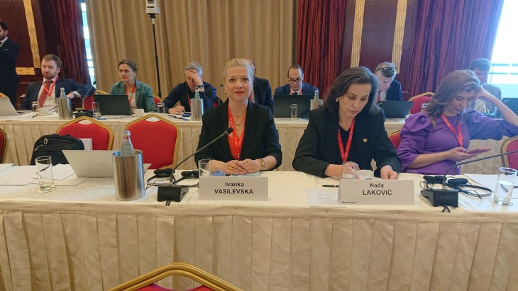 Учество на пратеничката Василевска на состанок на Постојаниот комитет на ПССЕ во Малта