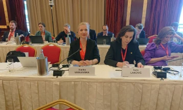 Учество на пратеничката Василевска на состанок на Постојаниот комитет на ПССЕ во Малта