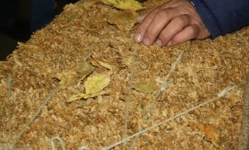 Лишен од слобода жител на скопско Љуботен кој превезувал тутун без документација