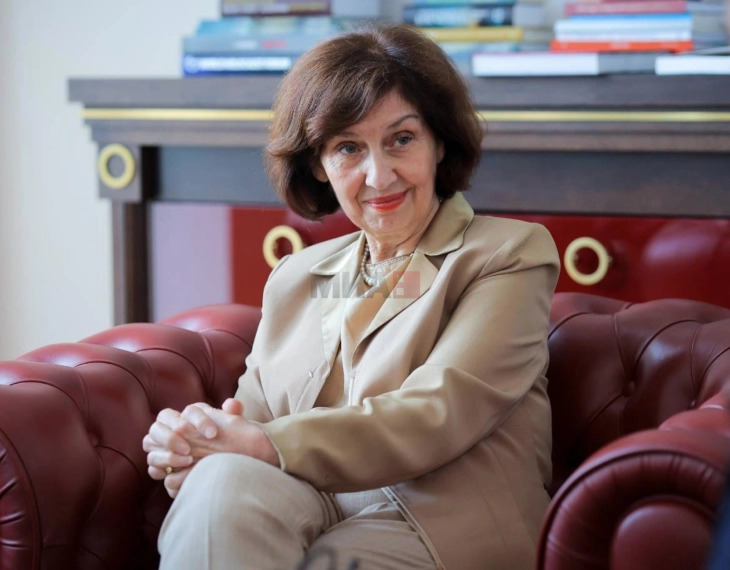 Siljanovska Davkova: Diplomacia krijuese e mundshme në Vjenë për zhbllokimin e integrimit evropian