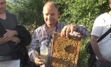 Во Зрновци се реализираше првата обука на пчелари од Македонија за производство на трутово млеко